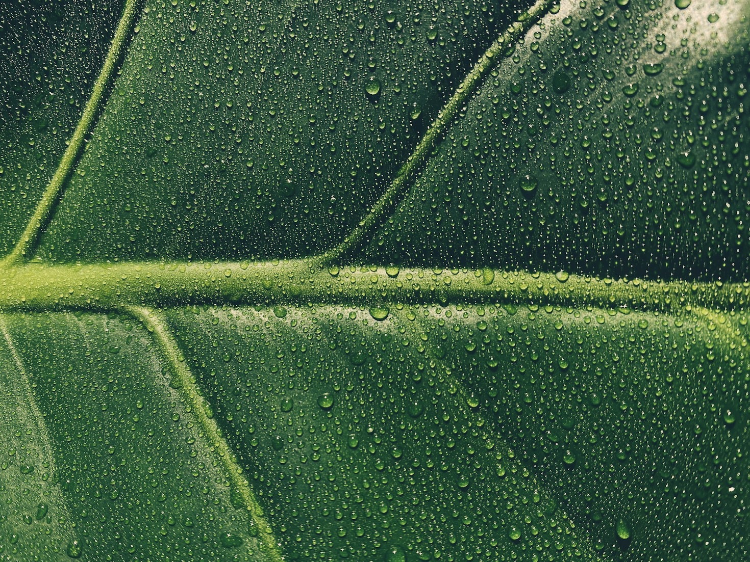 Mindfulness Practices for a Healthier You